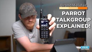 The Parrot Talkgroup EXPLAINED!