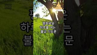아침에 듣는 평화로운 불교 기도문 🪷 마음을 맑게 하는 1분 명상 | @한잔의사유