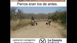 Perros eran los de antes - El Gato Peters -