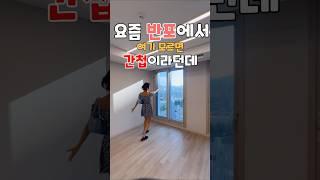 요즘 서초구 반포에서 여기 모르면 간첩이라는 소문이,,, (바흐 하우스) - 나인홈즈 #인테리어 #강남원룸 #아파트 #인테리어 #강남원룸 #아파트 #강남투룸 #브이로그