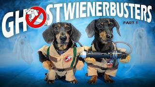 Ep #4: GHOSTWIENERBUSTERS - (Funny, & Spooky Dog Video for Halloween!)