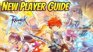 2024 New Player Guide: Priorities, Tips, and Progression For Level 1-100 | Ragnarok Mobile