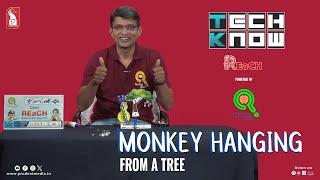 Monkey hanging from a tree | Tech Know ‘REaCH’ | Robotics | Prudent | 010924