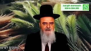 הגאון הרב אהרון בוטבול - הלכה יומית - י"ב תשרי התשפ"ה - כשרות הדפנות והסכך