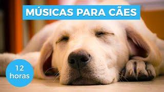 12 HOURS - DOG MUSIC FOR RELAXATION AND SEPARATION ANXIETY