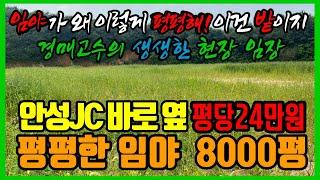 (돈 되는 땅 ￼현장 임장￼) 안성시JC 바로 옆 땅 원곡면  평평한 임야 8000 평 자연 녹지, 보전녹지 평당 240,000원 ￼생생한 임장 영상 제공￼