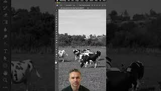 Colorize Your Photos in Photoshop #shorts #photoshop