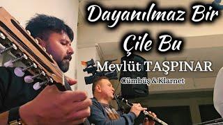 Dayanılmaz Bir Çile Bu (Cümbüş & Klarnet) - MEVLÜT TAŞPINAR #canliperformans #cover