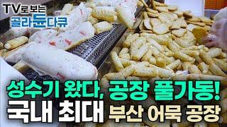 맛도 모양도 다른 어묵 종류가 무려 100여가지! 하루 60톤 국내 최대 규모 부산 어묵 공장의 하루｜어묵의 모든 것｜추운 겨울｜Korean Food｜극한직업｜#골라듄다큐