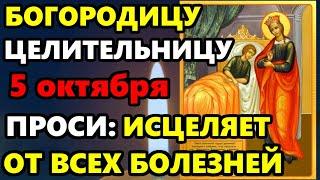 2 октября ПРОСИ СЕГОДНЯ ИСЦЕЛЯЕТ ОТ ВСЕХ БОЛЕЗНЕЙ! Молитва Богородице Целительница. Православие