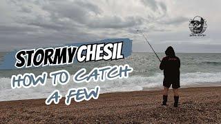 Stormy Chesil | How To Catch A Few on Chesil Beach | Fishing With Wayne 