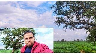 How about having a trek in the Egyptian Country ! Join me