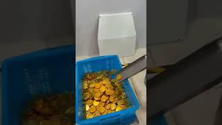 Product name: Gold Coin Chocolate Aluminium Foil Packaging Machine  #aluminiumfoilpackingmachine