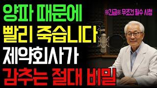 긴급! 의사도 놀란 양파 효능｜만성질환 잡는 생활 속 건강 비결｜건강정보｜삶의지혜｜노후준비｜당뇨