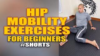 Beginner Hip Mobility Exercises