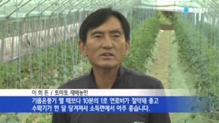 [경기] 비닐하우스 난방비 획기적 절감 / YTN