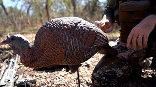 Turkey Hunting Done Right with Cabela’s Pro Series Turkey Decoys