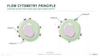 Establishing Efficacy with Flow Cytometry- Based Receptor Occupancy Assays