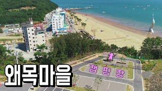 텐트 난민촌을 벗어나 조용한 캠핑장에서 캠낚을 즐기는 방법