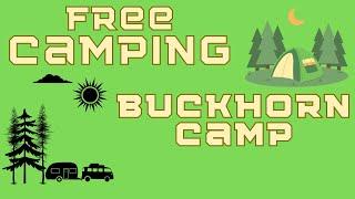 Free Camping | Buckhorn Camp (Apalachicola National Forest)