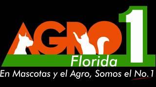 agro1