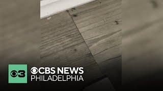 Family captures videos of mice, droppings at Center City Philadelphia nursing facility