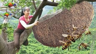 Harvesting Duck Eggs And Chickens Goes To Market Sell - Harvesting Honey From A Tall Trees