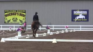 Katie Clapp & Wonder Girl - Dressage - Roebke's Run HT 2011