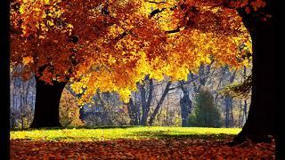 A CHARMING AUTUMN SERENITY