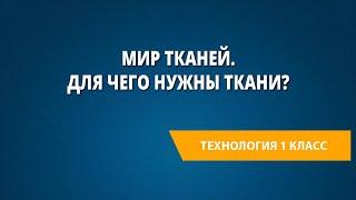 Мир тканей. Для чего нужны ткани?