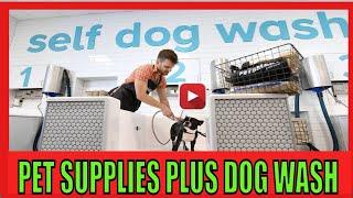 PET SUPPLIES PLUS DOG WASH MUST HAVE:SELF SERVICE DOG WASH STATION COIN OPERATED AT DOGGIE FASHION 