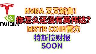 英伟达再创辉煌，你怎么还没有？MSTR COIN蓄力，tsla财报soon