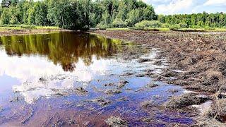 ШОК! Здесь рыбы больше чем воды. Ловля на неогруженную резину.