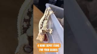 Everyday HOME DEPOT Items for Crested Geckos ️ #crestedgecko #reptiles # #reptilefamily