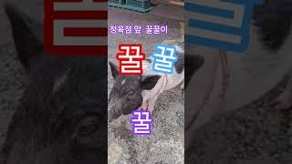 #한국힐링대학 #힐링강사양성국내1위 #100세현역 #명언 #인생2막 #평생일자리 #