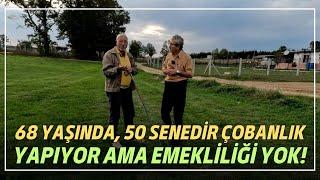 68 Yaşında, 50 Senedir Çobanlık Yapıyor Ama Emekliliği Yok!