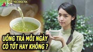 Uống trà mỗi ngày có tốt hay không nên uống bao nhiêu trà mỗi ngày