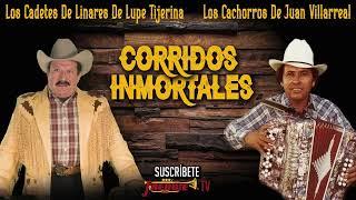 Los Cadetes De Linares / Los Cachorros De Juan Villarreal - Corridos Inmortales