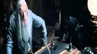 Гарри Поттер и дары смерти (воспоминания Северуса).wmv