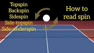 How to read spin/ the amount of spin (Including serves)| Table Tennis Analysis