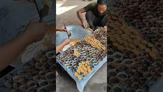 Artisanal Palm sugar production #shorts