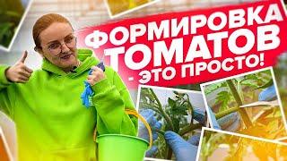 ФОРМИРОВКА ТОМАТОВ  1, 2, 3, 4 СТЕБЛЯ!