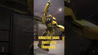 BUMBLEBEE DANCE SWEET LITTLE BUMBLEBEE