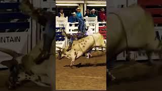PRCA OAKLEY RODEO BALL BUSTIN BULL RIDING #198 #viral #trending #shorts #prorodeo.org