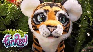 FurReal Friends - 'Roarin' Tyler, The Playful Tiger' Official Promo