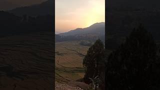 Evergreen song #nature #travel #mountains #song #shortvideo #shorts #viral