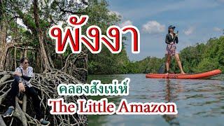 คลองสังเน่ห์ The Little Amazon Takuapa   ถ้าไปพังงา ห้ามพลาดไปเช็คอินที่นี่