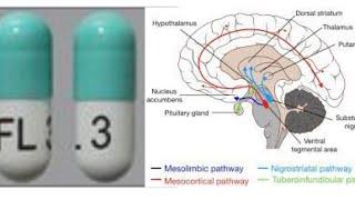 Vraylar (Cariprazine): How it works, it's indications, and common/serious side effects