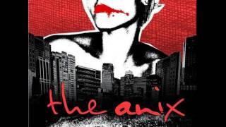 The Anix - Long Way Out