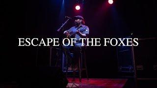 "Escape of the Foxes" - Jon Dell (Recorded live at MM Studios)